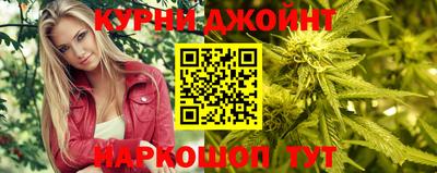 крисы Малгобек