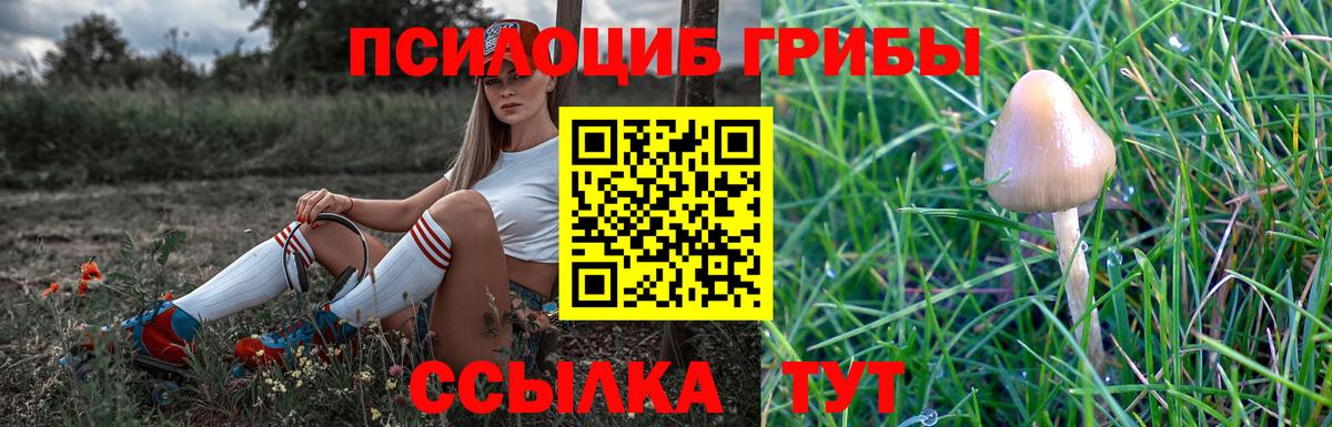 Галлюциногенные грибы Magic Shrooms Урай