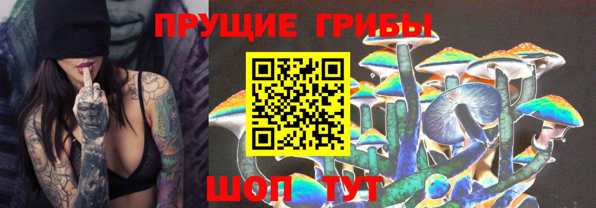 Галлюциногенные грибы MAGIC MUSHROOMS  Вход с VPN  Урай 